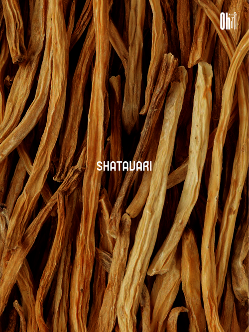 Shatavari